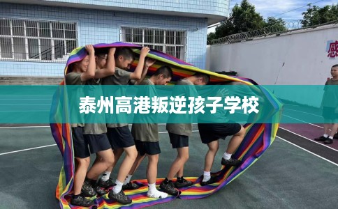 泰州高港叛逆孩子学校 泰州高港叛逆孩子学校