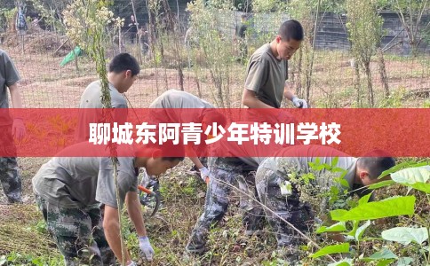 聊城东阿青少年特训学校