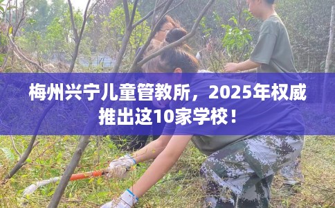 梅州兴宁儿童管教所，2025年权威推出这10家学校！