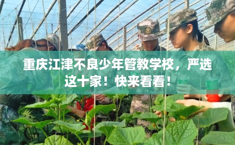重庆江津不良少年管教学校，严选这十家！快来看看！