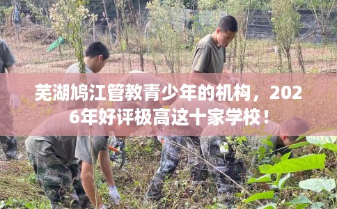 芜湖鸠江管教青少年的机构，2026年好评极高这十家学校！