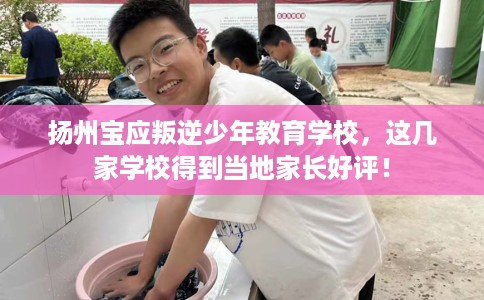 扬州宝应叛逆少年教育学校，这几家学校得到当地家长好评！