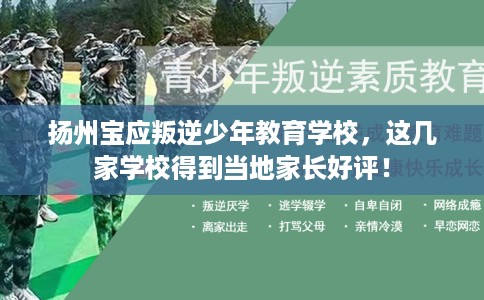 扬州宝应叛逆少年教育学校，这几家学校得到当地家长好评！