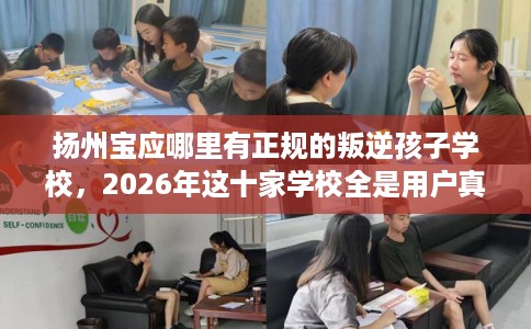 扬州宝应哪里有正规的叛逆孩子学校，2026年这十家学校全是用户真评!