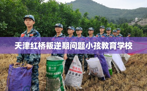 天津红桥叛逆期问题小孩教育学校