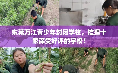 东莞万江青少年封闭学校，梳理十家深受好评的学校！