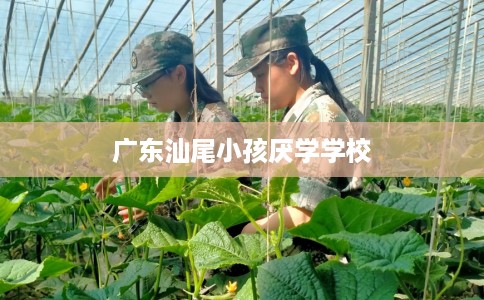 广东汕尾小孩厌学学校