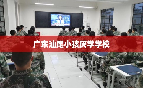 广东汕尾小孩厌学学校