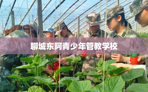 聊城东阿青少年管教学校
