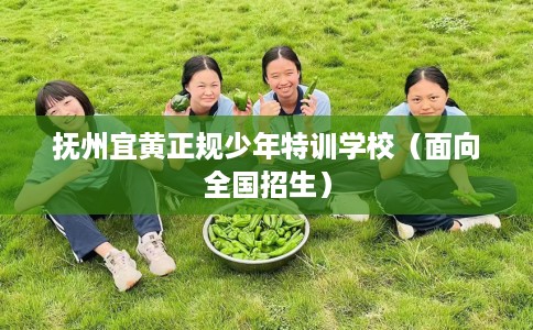 抚州宜黄正规少年特训学校（面向全国招生）