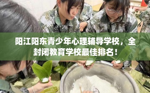 阳江阳东青少年心理辅导学校，全封闭教育学校最佳排名！