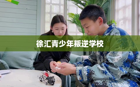 徐汇青少年叛逆学校