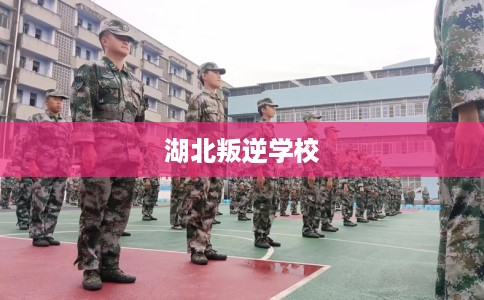 湖北叛逆学校