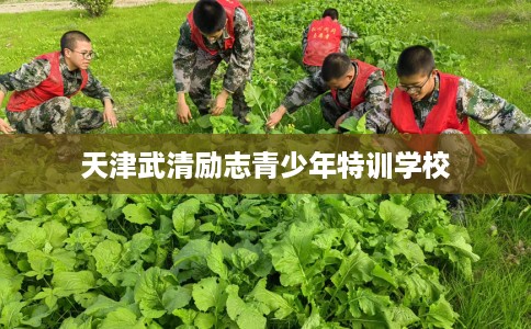 天津武清励志青少年特训学校