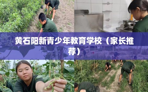 黄石阳新青少年教育学校（家长推荐）