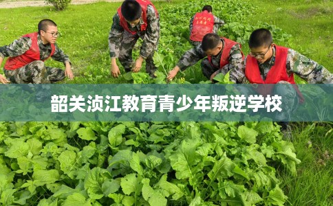 韶关浈江教育青少年叛逆学校