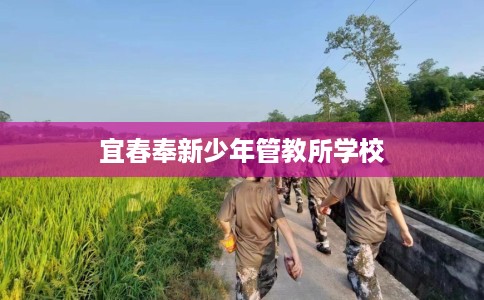 宜春奉新少年管教所学校