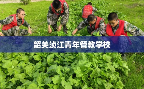韶关浈江青年管教学校