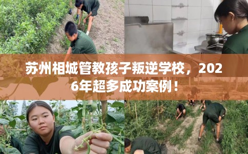 苏州相城管教孩子叛逆学校，2026年超多成功案例！