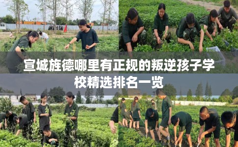 宣城旌德哪里有正规的叛逆孩子学校精选排名一览