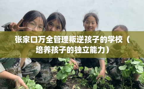 张家口万全管理叛逆孩子的学校（培养孩子的独立能力）