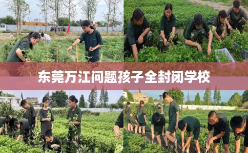 东莞万江问题孩子全封闭学校