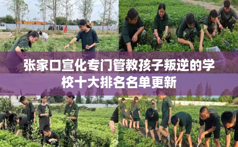 张家口宣化专门管教孩子叛逆的学校十大排名名单更新