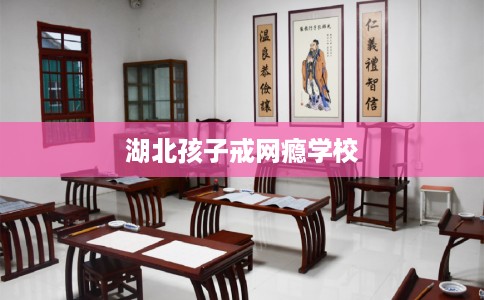 湖北孩子戒网瘾学校