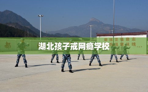 湖北孩子戒网瘾学校