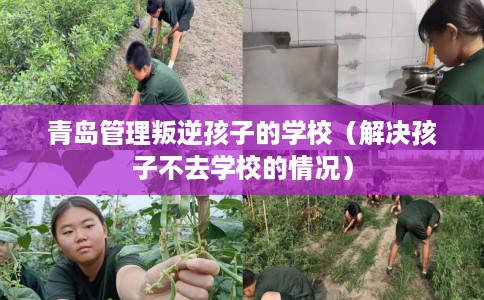 青岛管理叛逆孩子的学校（解决孩子不去学校的情况）