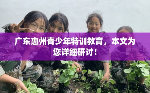 广东惠州青少年特训教育，本文为您详细研讨！