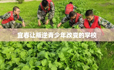 宜春让叛逆青少年改变的学校
