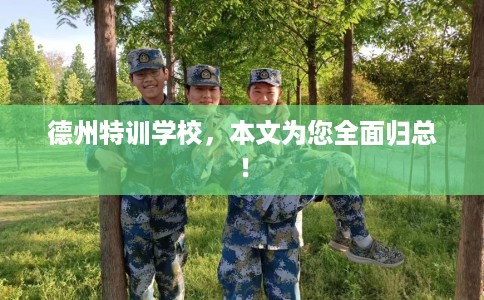 德州特训学校，本文为您全面归总！