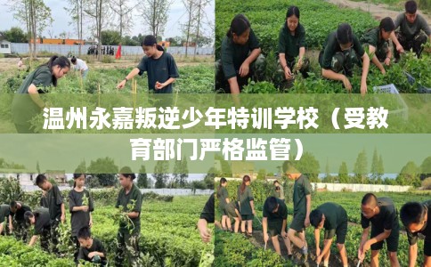 温州永嘉叛逆少年特训学校（受教育部门严格监管）