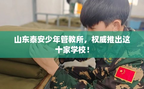 山东泰安少年管教所，权威推出这十家学校！