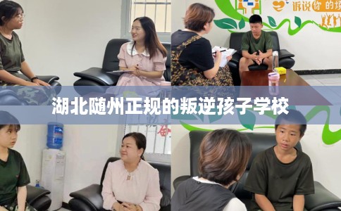湖北随州正规的叛逆孩子学校