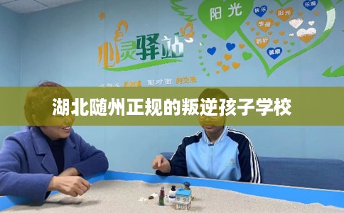 湖北随州正规的叛逆孩子学校