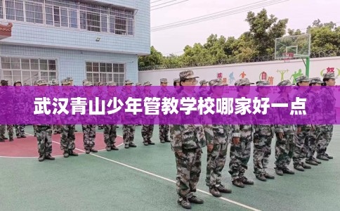 武汉青山少年管教学校哪家好一点