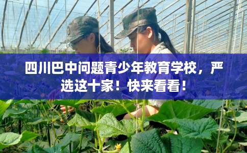 四川巴中问题青少年教育学校，严选这十家！快来看看！