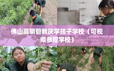佛山高明管教厌学孩子学校（可视频参观学校）