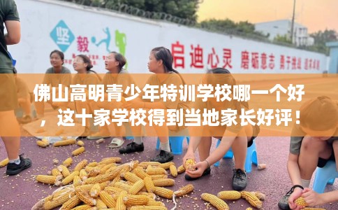 佛山高明青少年特训学校哪一个好，这十家学校得到当地家长好评！