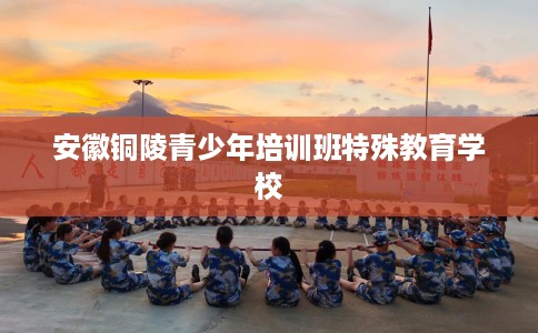 安徽铜陵青少年培训班特殊教育学校
