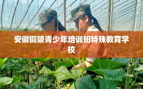 安徽铜陵青少年培训班特殊教育学校