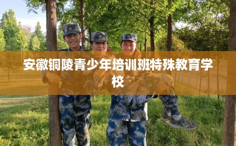 安徽铜陵青少年培训班特殊教育学校