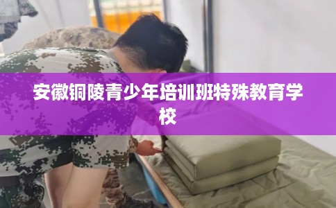 安徽铜陵青少年培训班特殊教育学校