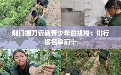 荆门掇刀管教青少年的机构：排行榜名单前十