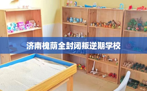 济南槐荫全封闭叛逆期学校