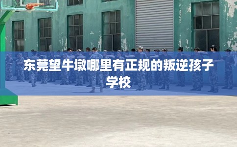 东莞望牛墩哪里有正规的叛逆孩子学校