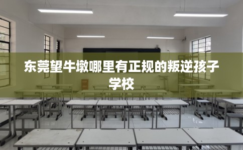 东莞望牛墩哪里有正规的叛逆孩子学校
