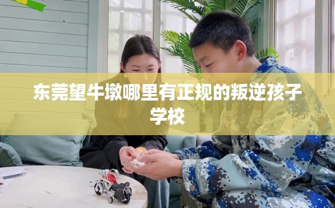 东莞望牛墩哪里有正规的叛逆孩子学校